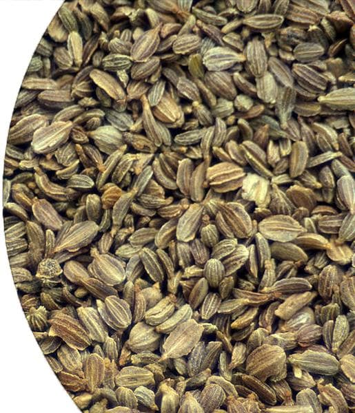 Carrot Seed Essential Oil