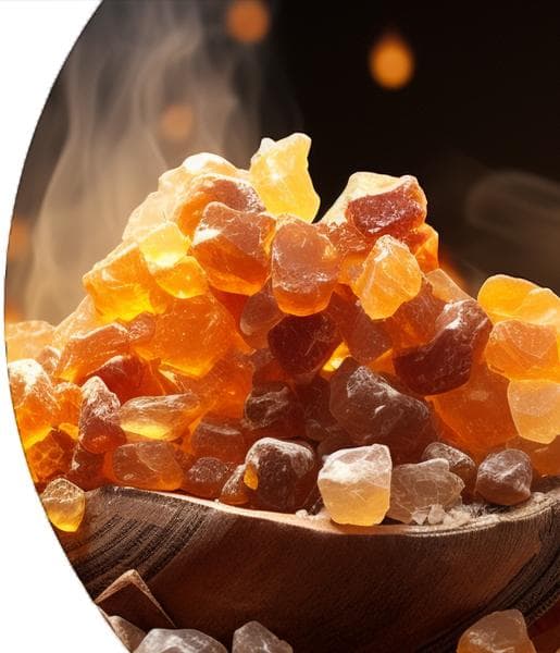 Frankincense Serrata (Indian) Essential Oil