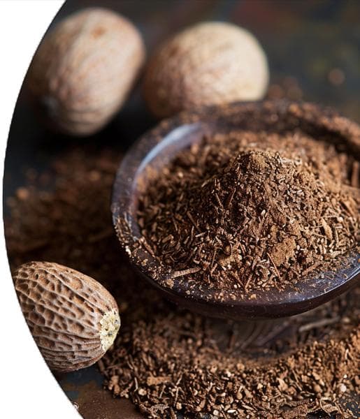 Nutmeg Essential Oil